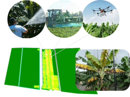 Precision Pesticide Application